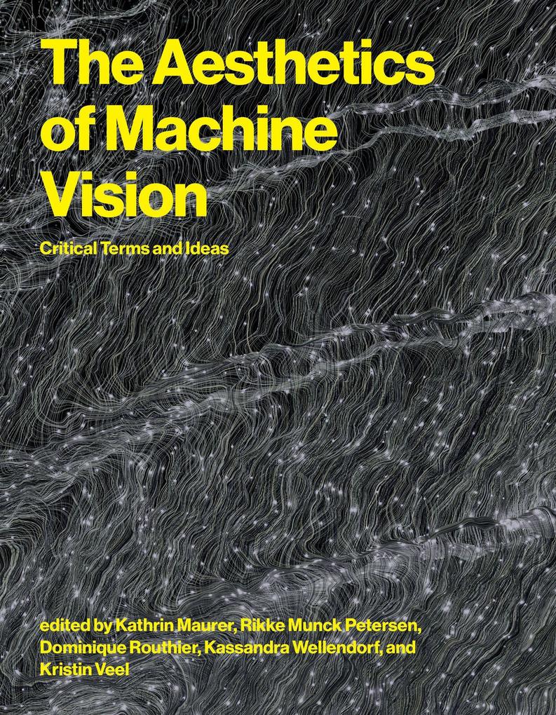 The Aesthetics of Machine Vision