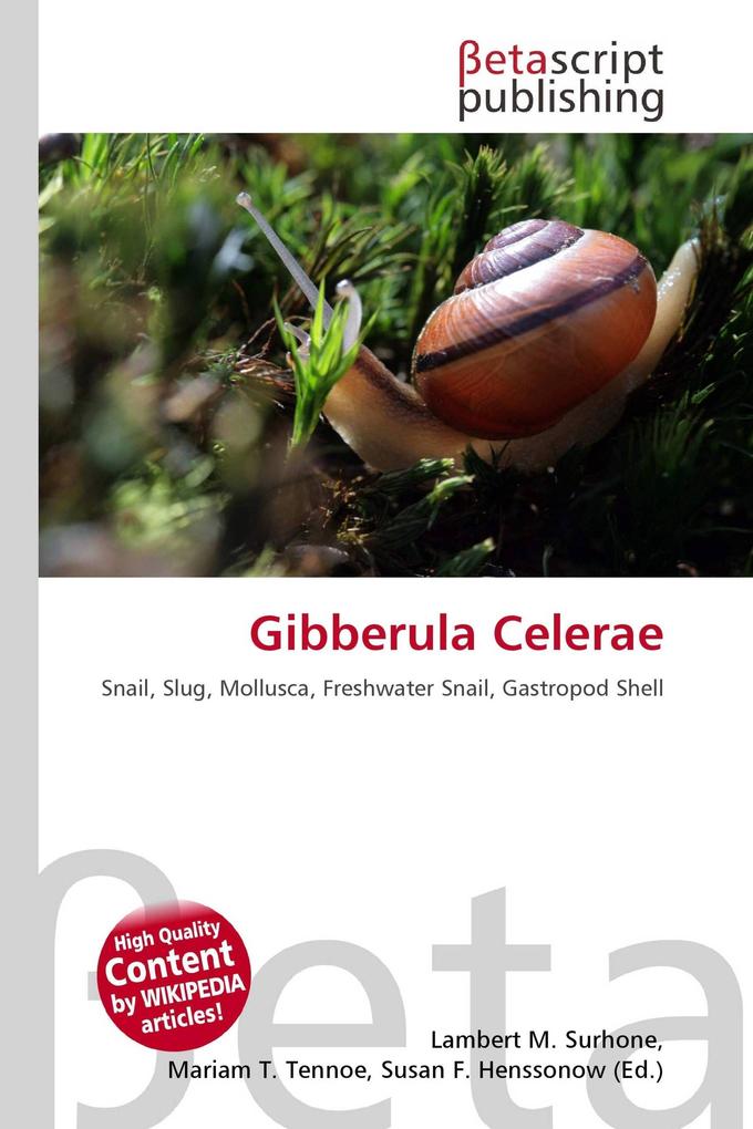 Gibberula Celerae