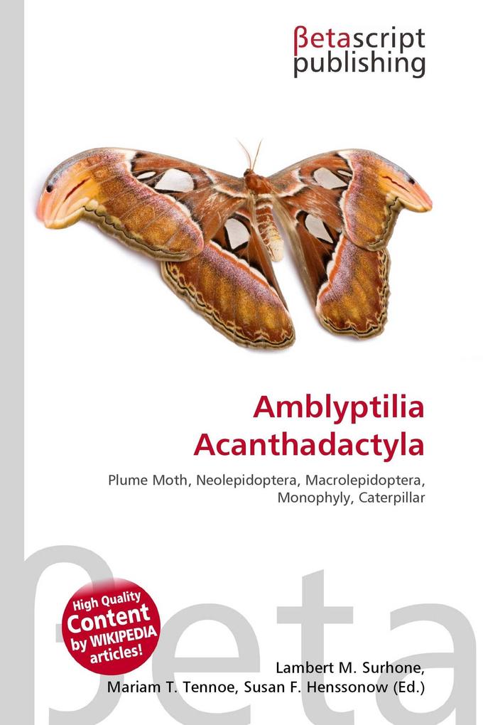 Amblyptilia Acanthadactyla