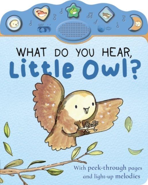What Do You Hear Little Owl?
