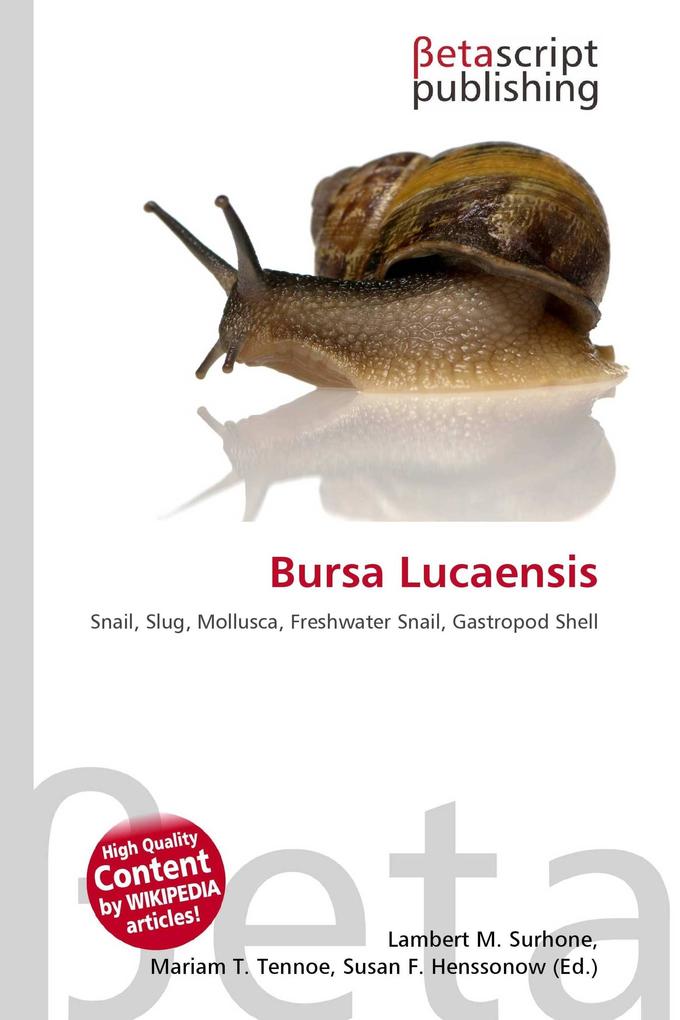 Bursa Lucaensis
