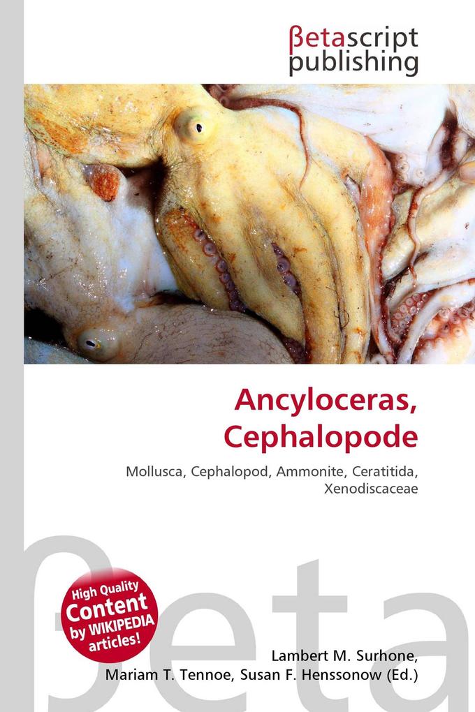 Ancyloceras Cephalopode