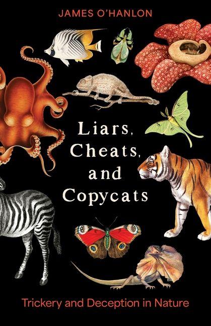 Liars Cheats and Copycats