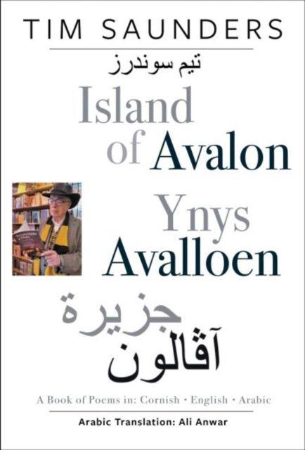 Island of Avalon / Ynys Avalloen