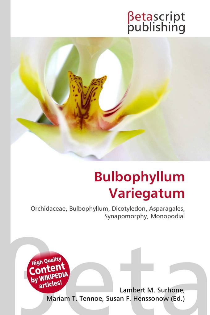 Bulbophyllum Variegatum