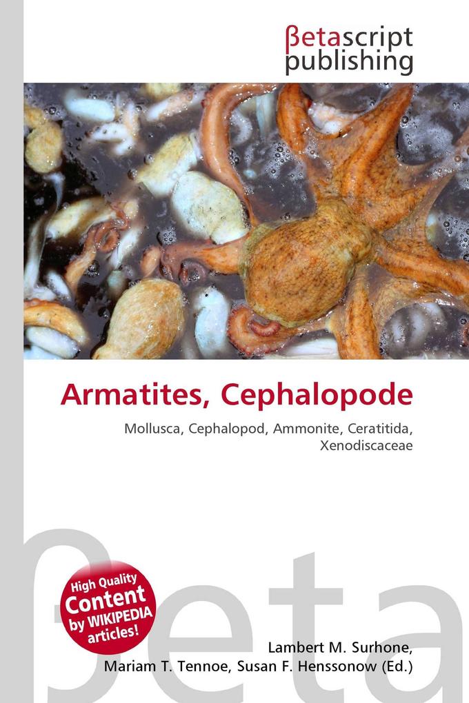 Armatites Cephalopode