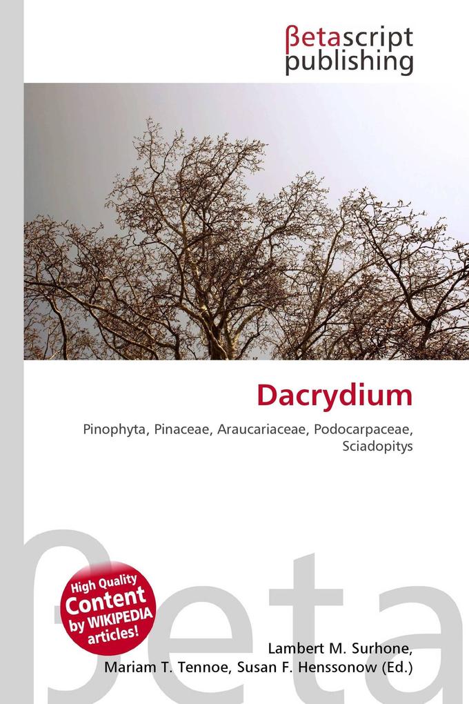 Dacrydium