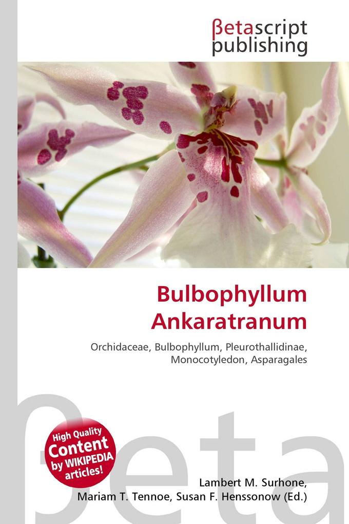 Bulbophyllum Ankaratranum
