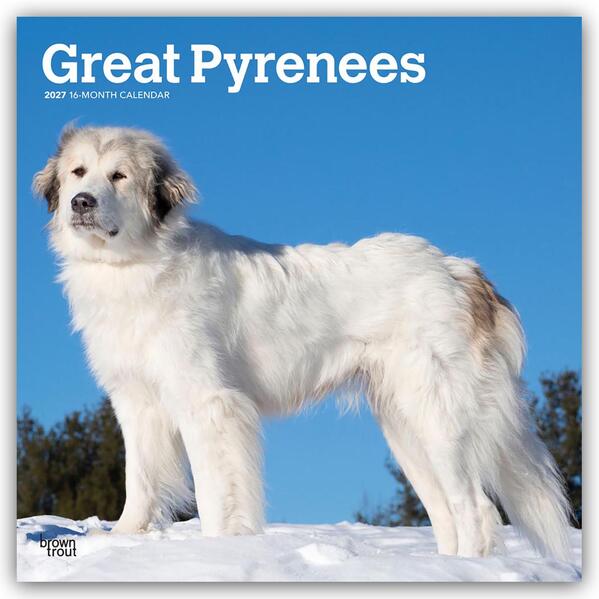 Great Pyrenees - Pyrenäenberghund 2027 - 16-Monatskalender