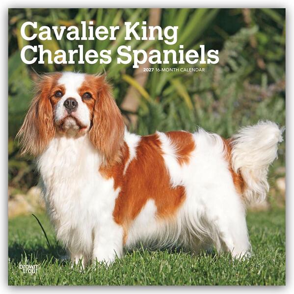 Cavalier King Charles Spaniels 2027 - 16-Monatskalender