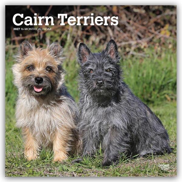 Cairn Terriers 2027 - 16-Monatskalender