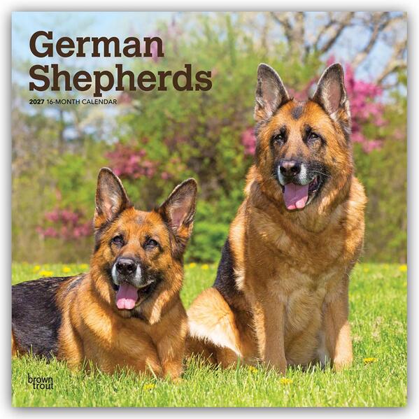 German Shepherds - Deutsche Schäferhunde 2027 - 16-Monatskalender