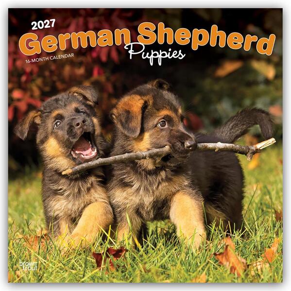 German Shepherd Puppies - Deutsche Schäferhund Welpen 2027 - 16-Monatskalender