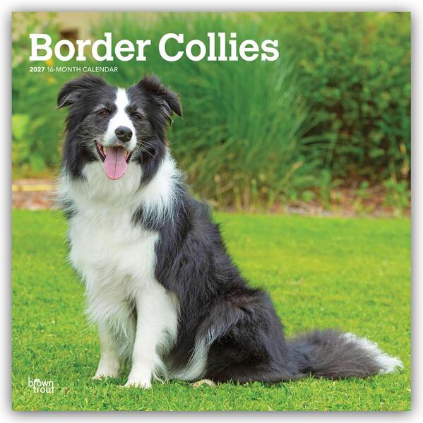 Border Collies 2027 - 16-Monatskalender