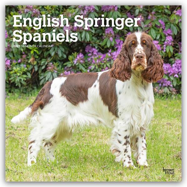 English Springer Spaniels 2027 - 16-Monatskalender