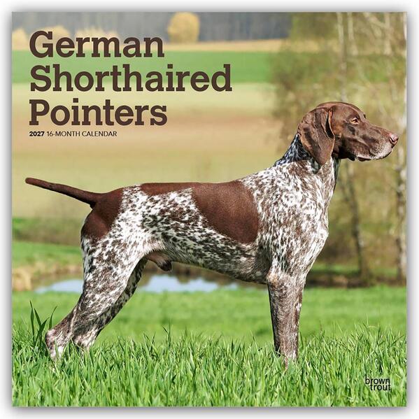 German Shorthaired Pointers - Deutsch Kurzhaar 2027 - 16-Monatskalender