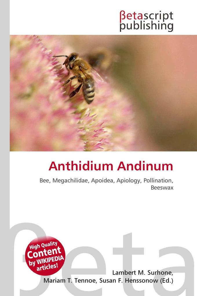 Anthidium Andinum
