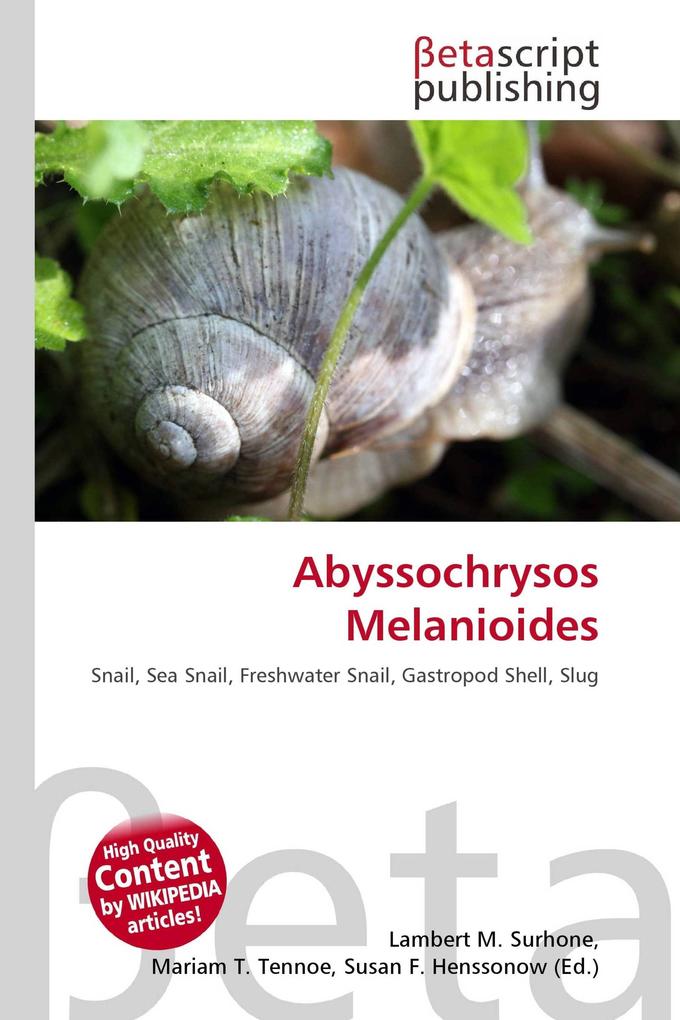 Abyssochrysos Melanioides