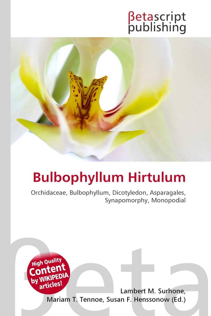 Bulbophyllum Hirtulum