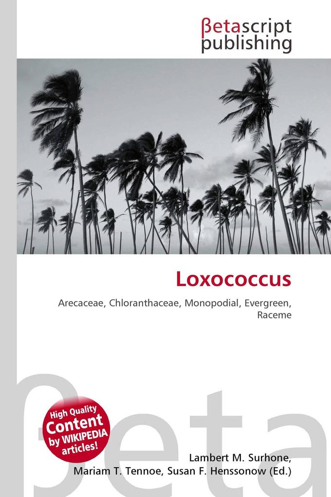 Loxococcus