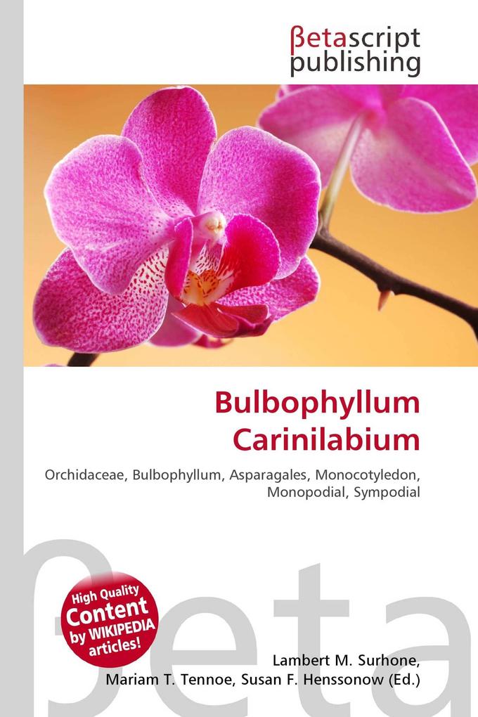 Bulbophyllum Carinilabium