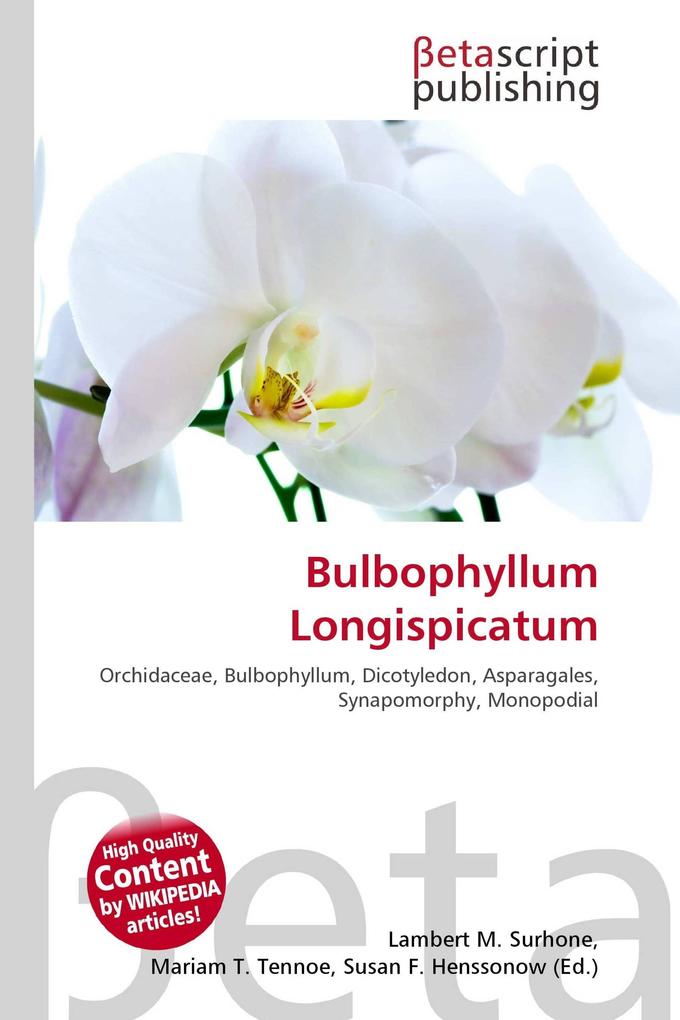 Bulbophyllum Longispicatum