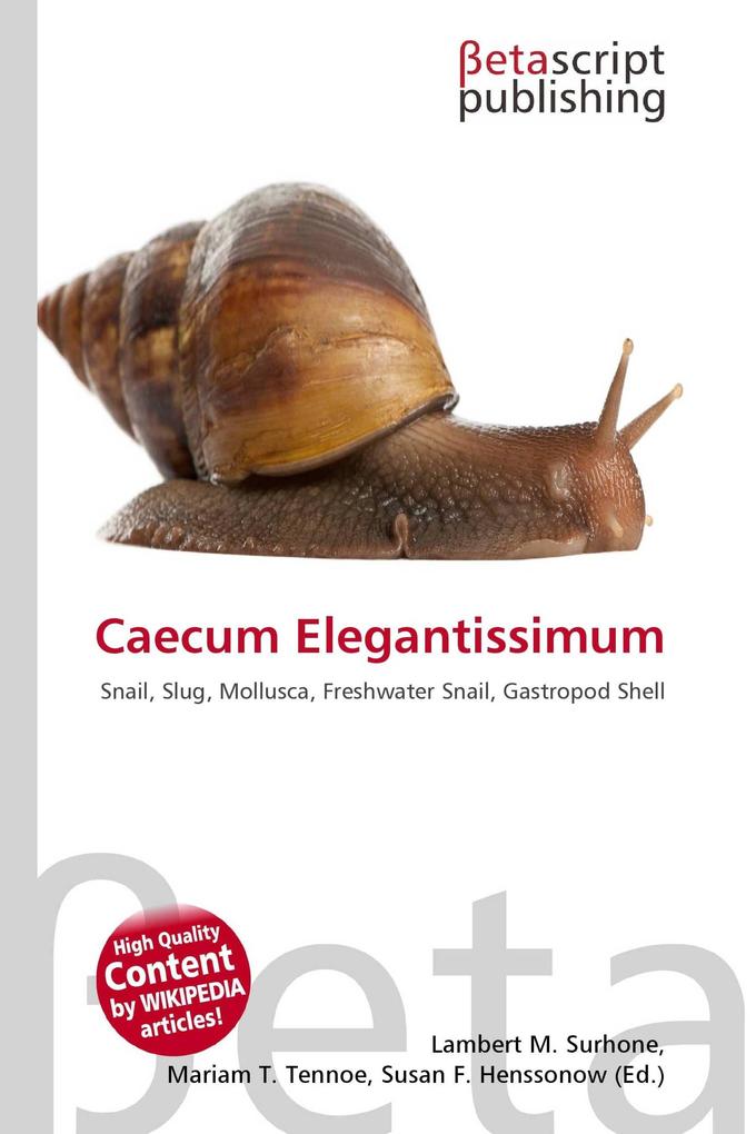Caecum Elegantissimum
