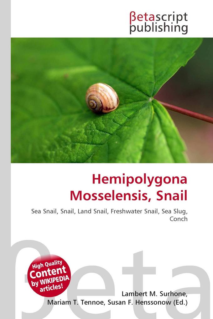 Hemipolygona Mosselensis Snail