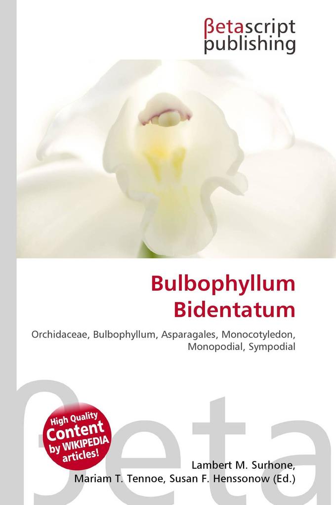 Bulbophyllum Bidentatum