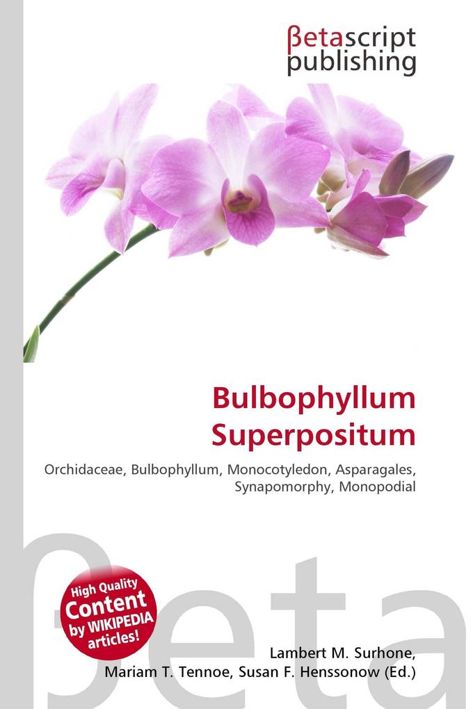 Bulbophyllum Superpositum