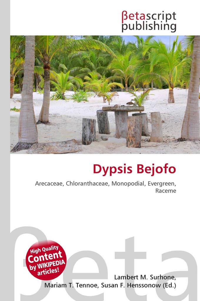 Dypsis Bejofo