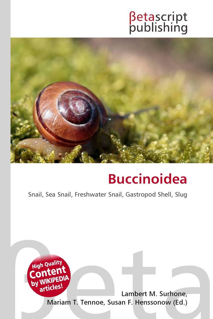 Buccinoidea