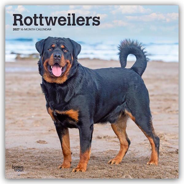 Rottweilers - Rottweiler 2027 - 16-Monatskalender