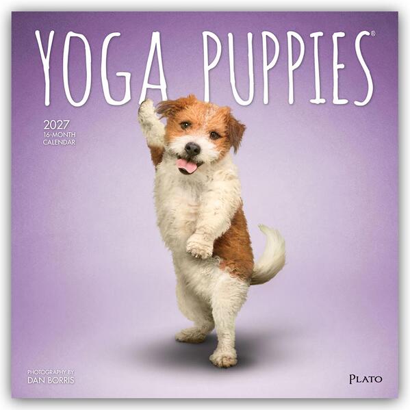 Yoga Puppies - Welpen Yoga 2027 - 16-Monatskalender
