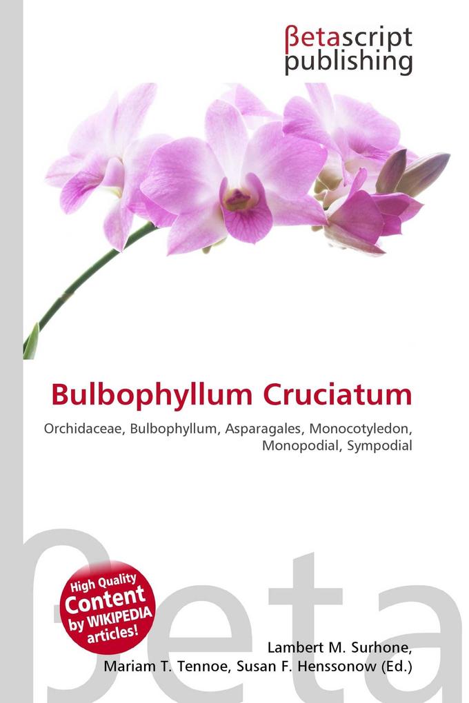 Bulbophyllum Cruciatum