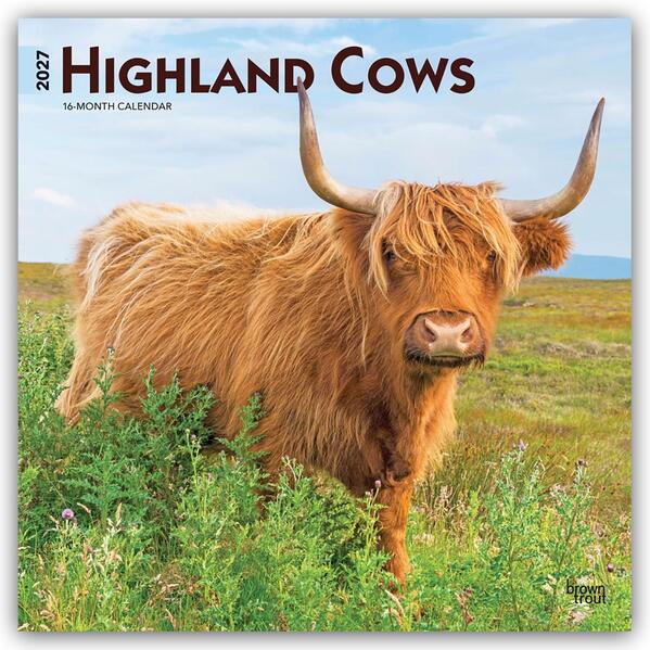 Highland Cows - Hochlandrinder 2027 - 16-Monatskalender