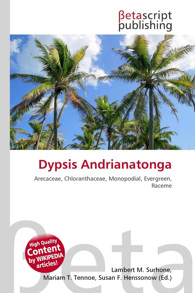 Dypsis Andrianatonga