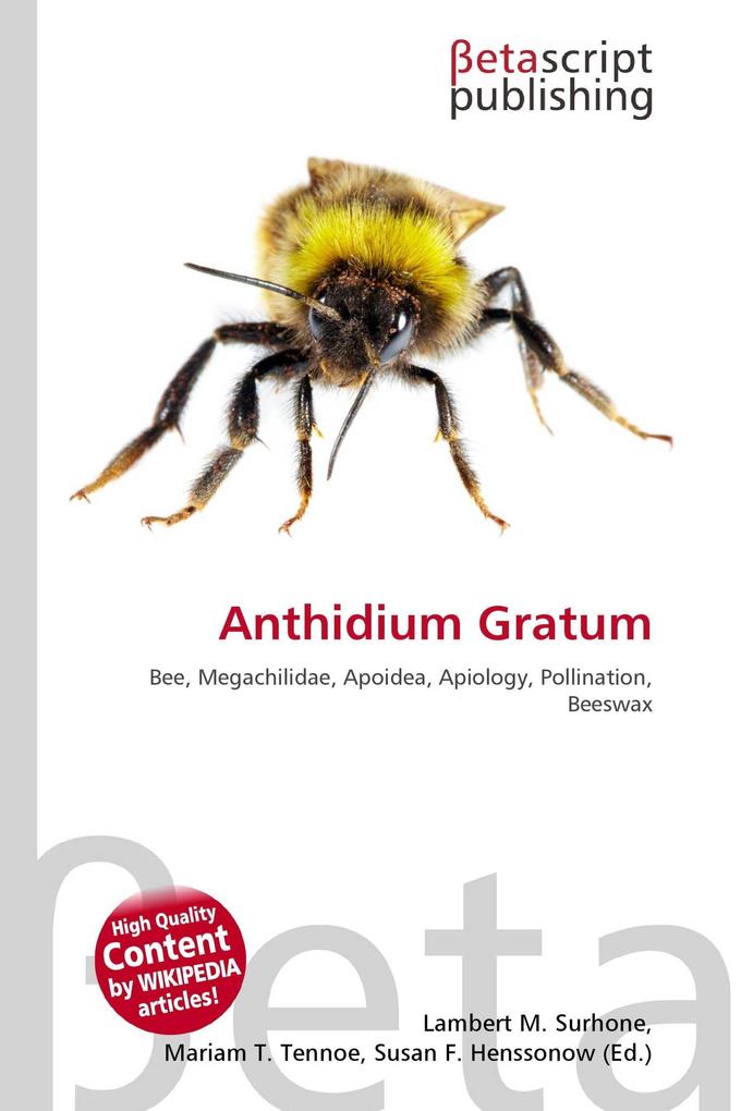 Anthidium Gratum