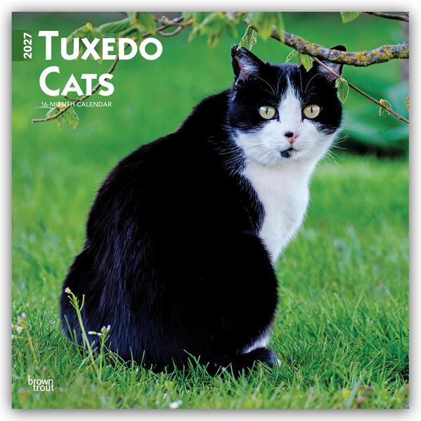Tuxedo Cats - Tuxedo Katzen 2027 - 16-Monatskalender