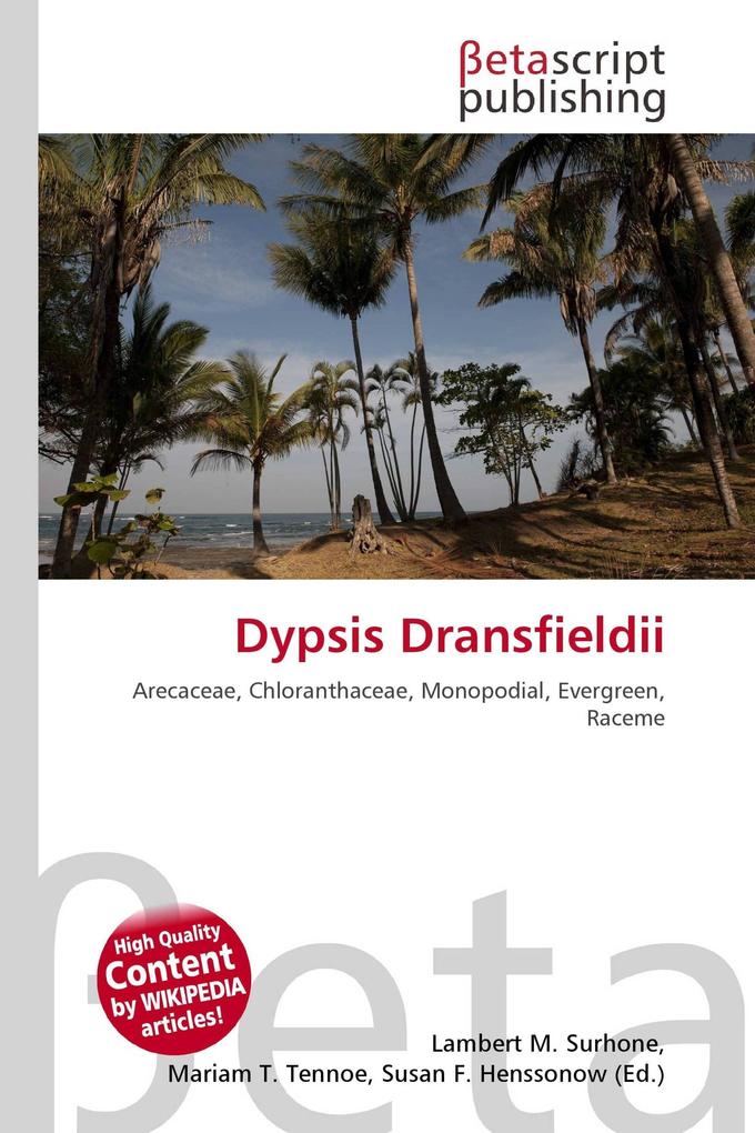 Dypsis Dransfieldii