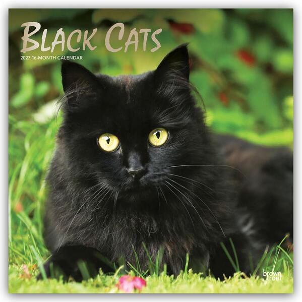 Black Cats - Schwarze Katzen 2027 - 16-Monatskalender