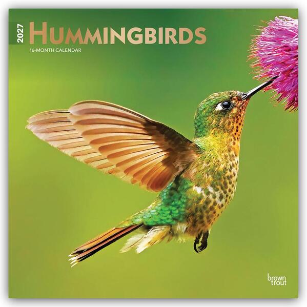 Hummingbirds - Kolibris 2027 - 16-Monatskalender