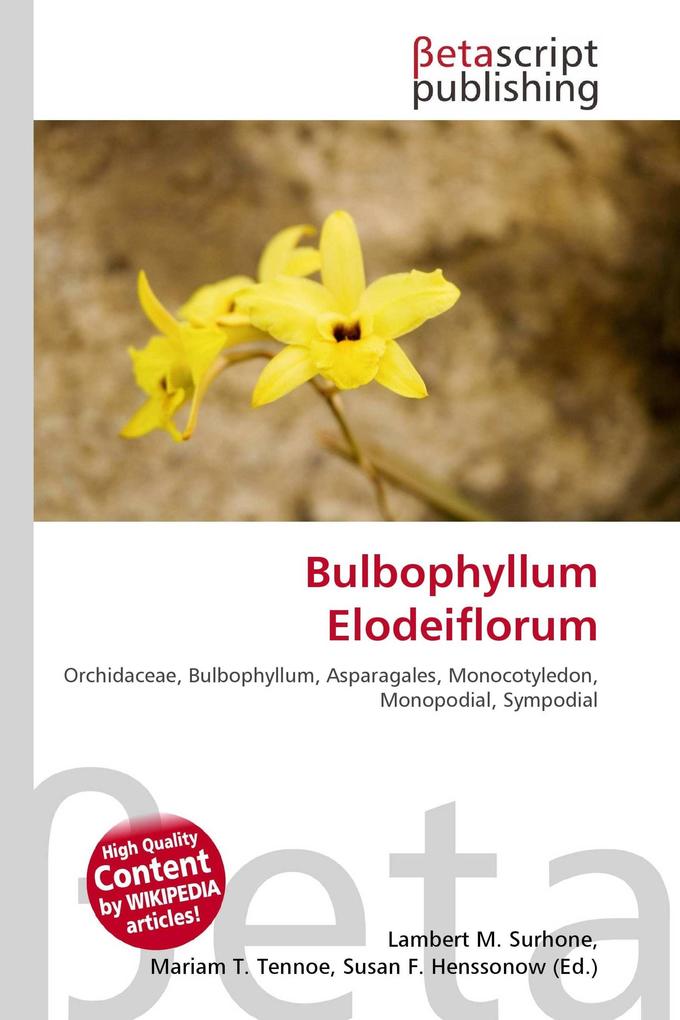 Bulbophyllum Elodeiflorum