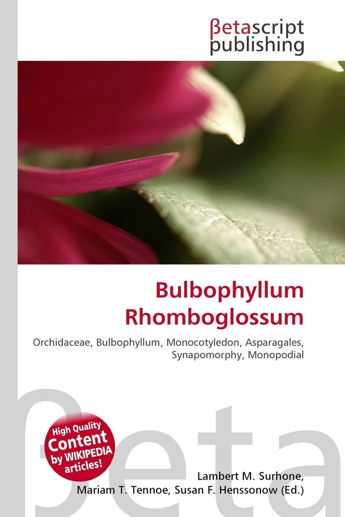 Bulbophyllum Rhomboglossum