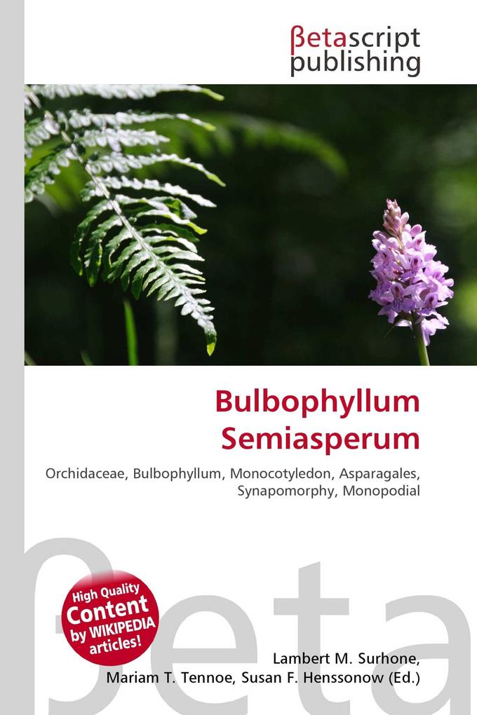 Bulbophyllum Semiasperum