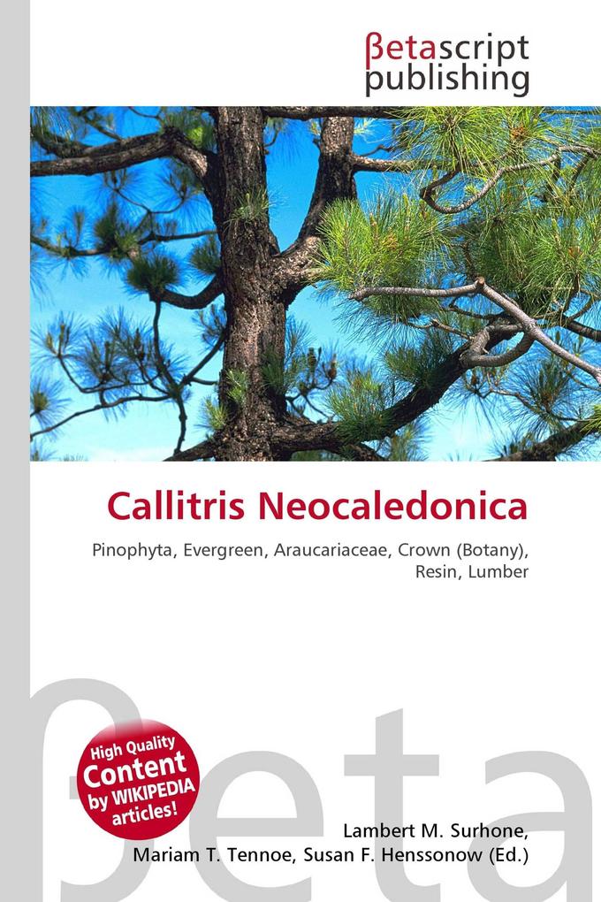 Callitris Neocaledonica