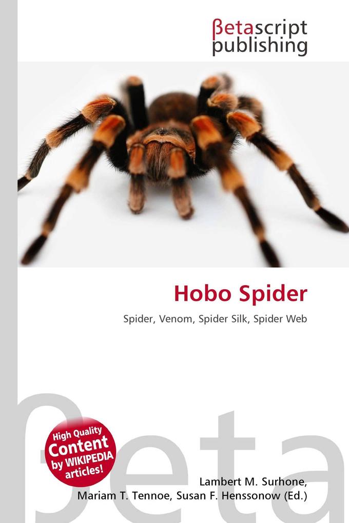 Hobo Spider