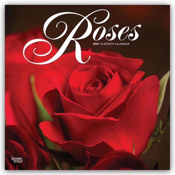 Roses - Rosen 2027 - 16-Monatskalender