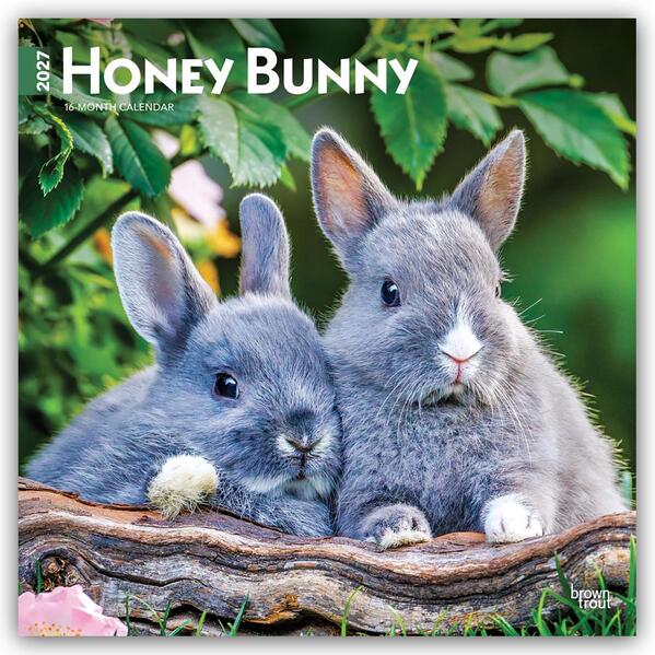 Honey Bunny - Süße Häschen 2027 - 16-Monatskalender