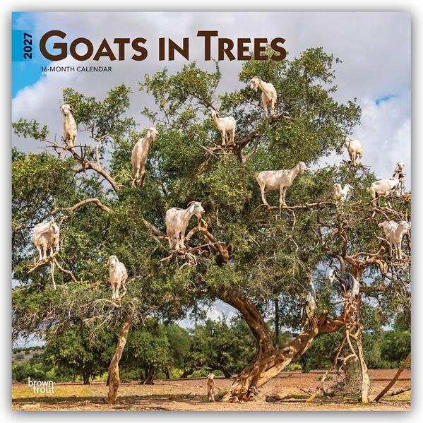 Goats in Trees - Ziegen in Bäumen 2027 - 16-Monatskalender